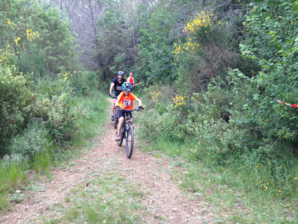 rouraid 2015