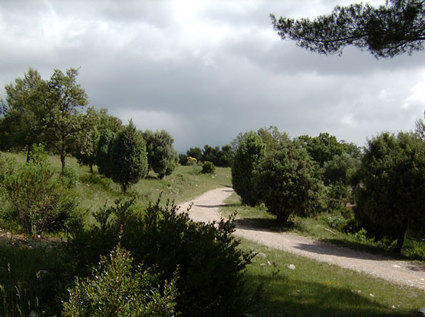 Rouraid 2016